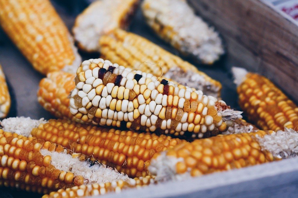 The battle of corn vs. soybean - who'll win this year?