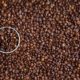 Australia set to harvest wheat soon, droughts in Brazil increase coffee prices