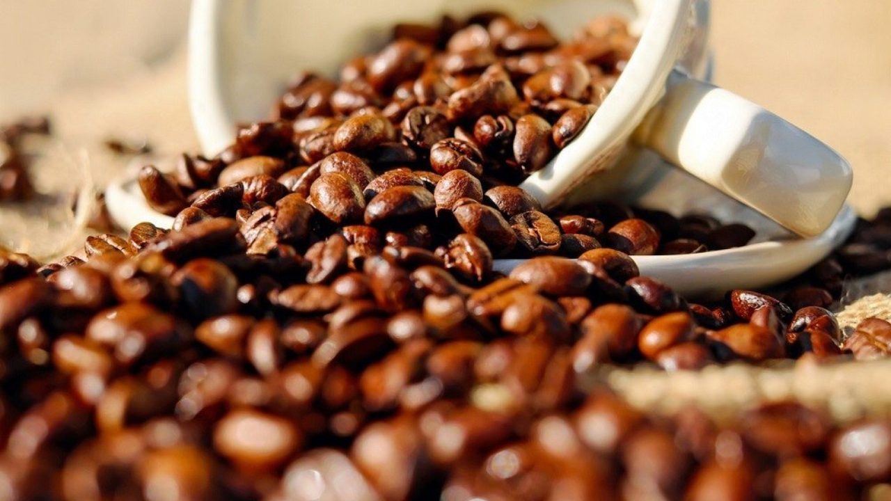 coffee import in india