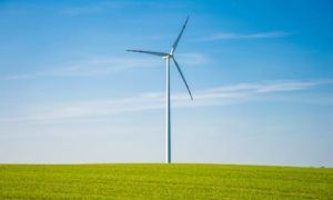 Why now is the perfect time to turn to green energy