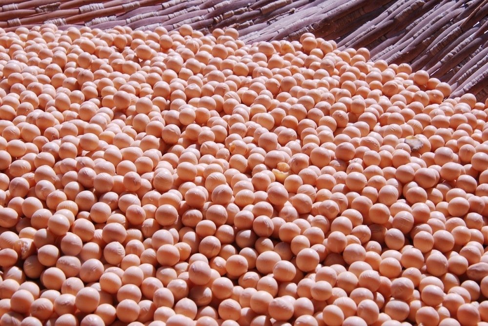 The soybeans market expected to rise in March