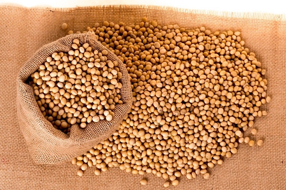 Will the soybean market rise in 2017, despite bad weather conditions?