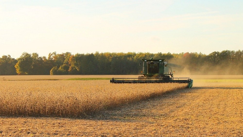 What did the spring rain bring to the soybean stock market?