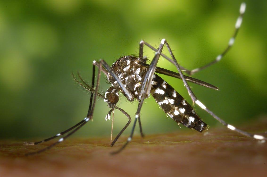 These three companies are working to fix the remaining concerns over Zika