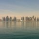 Doha landscape