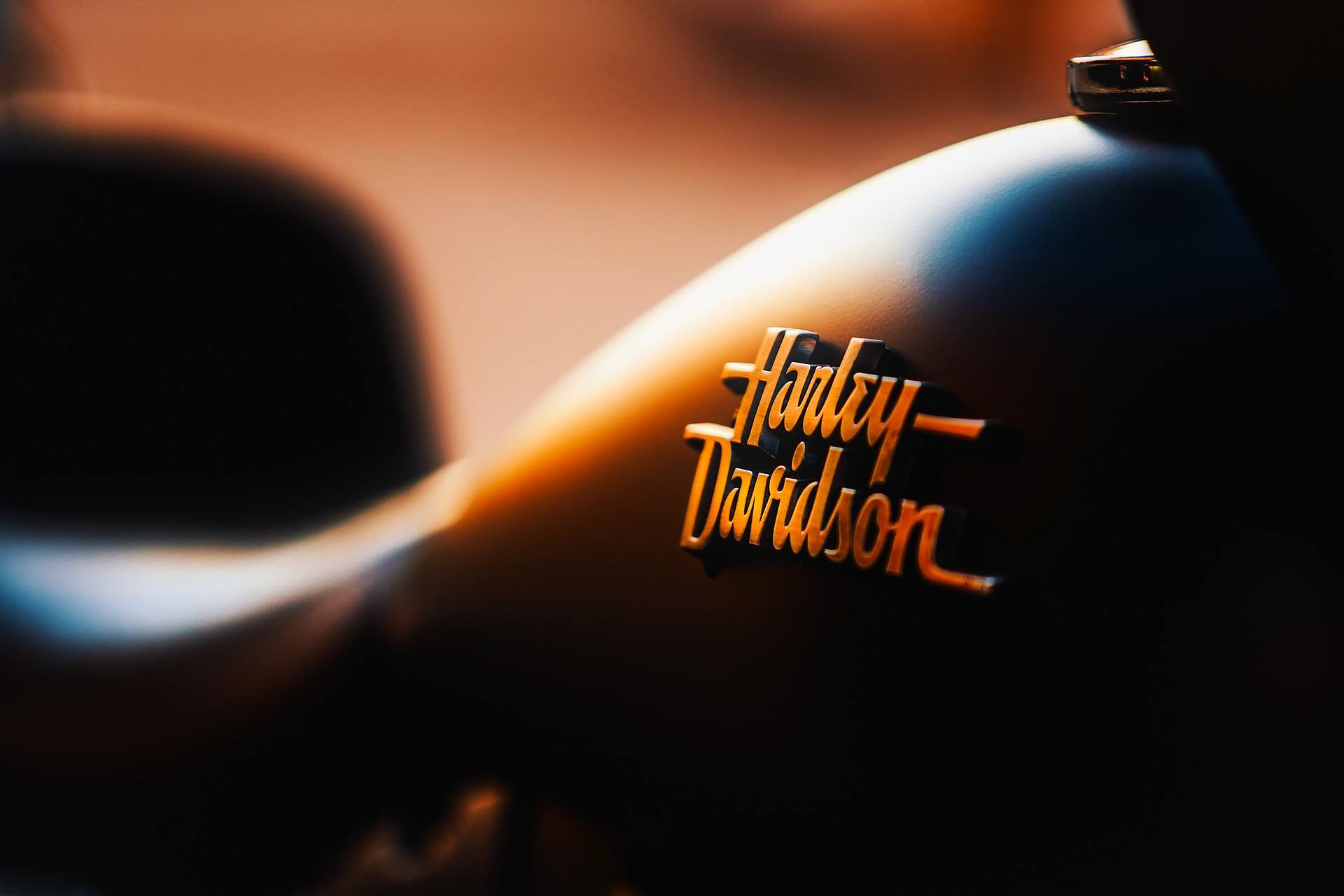 Harley-Davidson logo