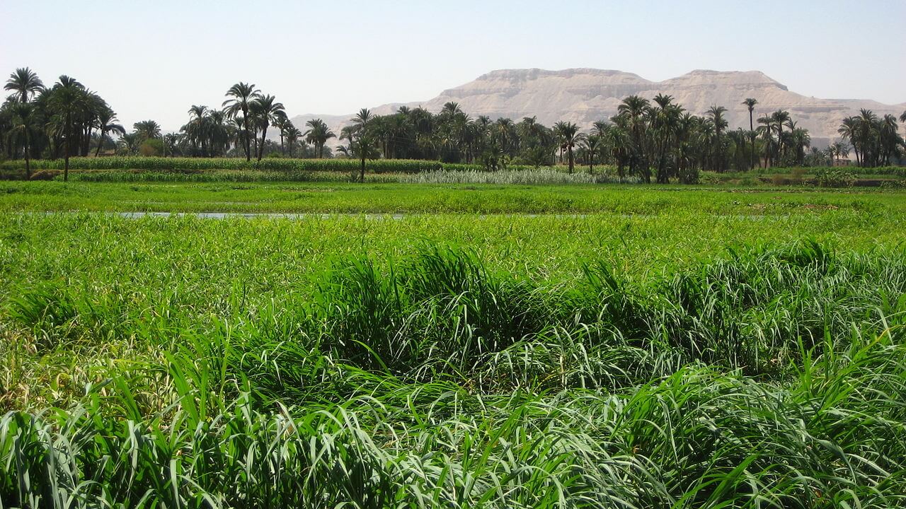 خلفية الصورة