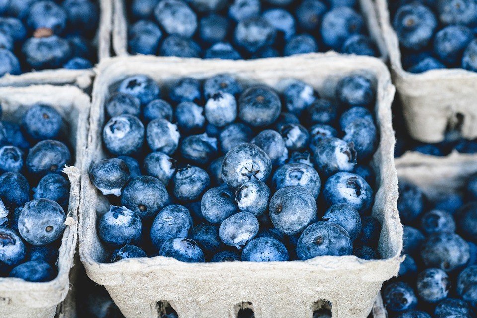 7 health-boosting superfoods to start eating right now