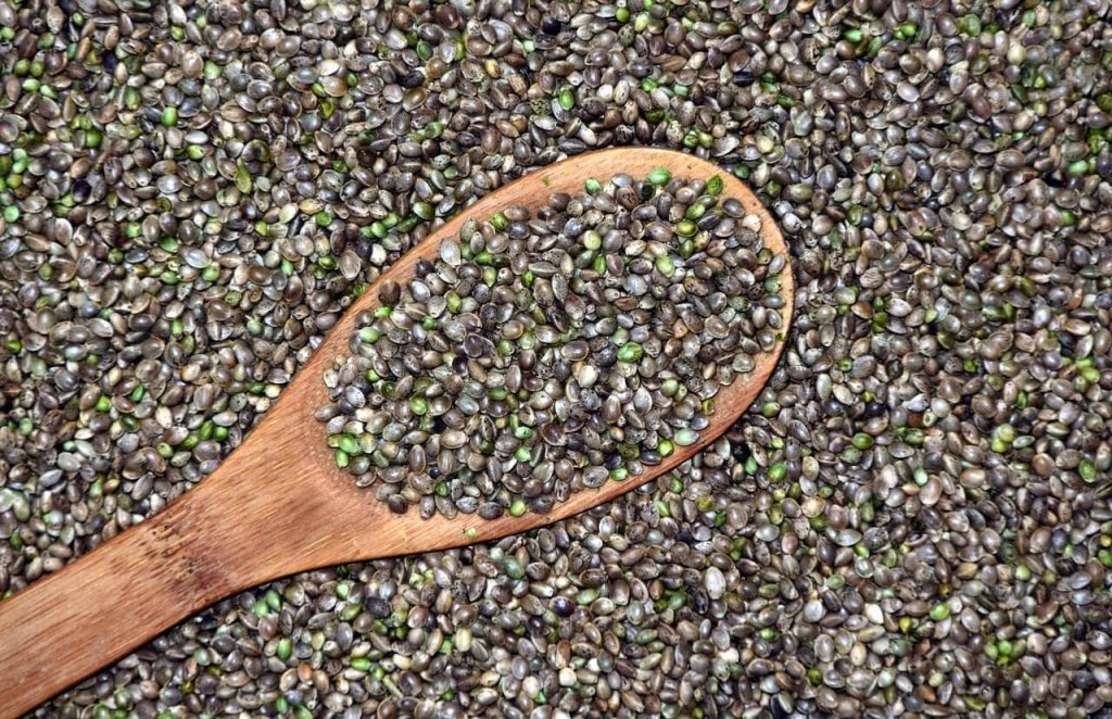 Cannabis seeds are popular in the CBD industry.