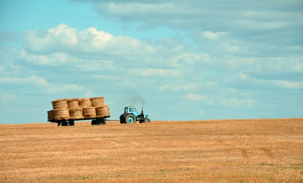 Agricultural speculations predict that Brazil will hit another record crop production this year.