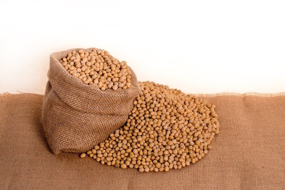 Currently, there are 550 million bushels of US soybeans. (Source)