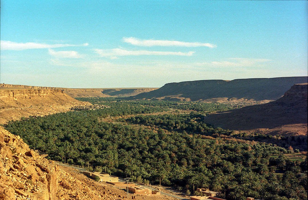 The Ziz Valley boasts of its robust palm plantations. (Photo by Melminou via Wikimedia Commons. CC BY-SA 4.0)