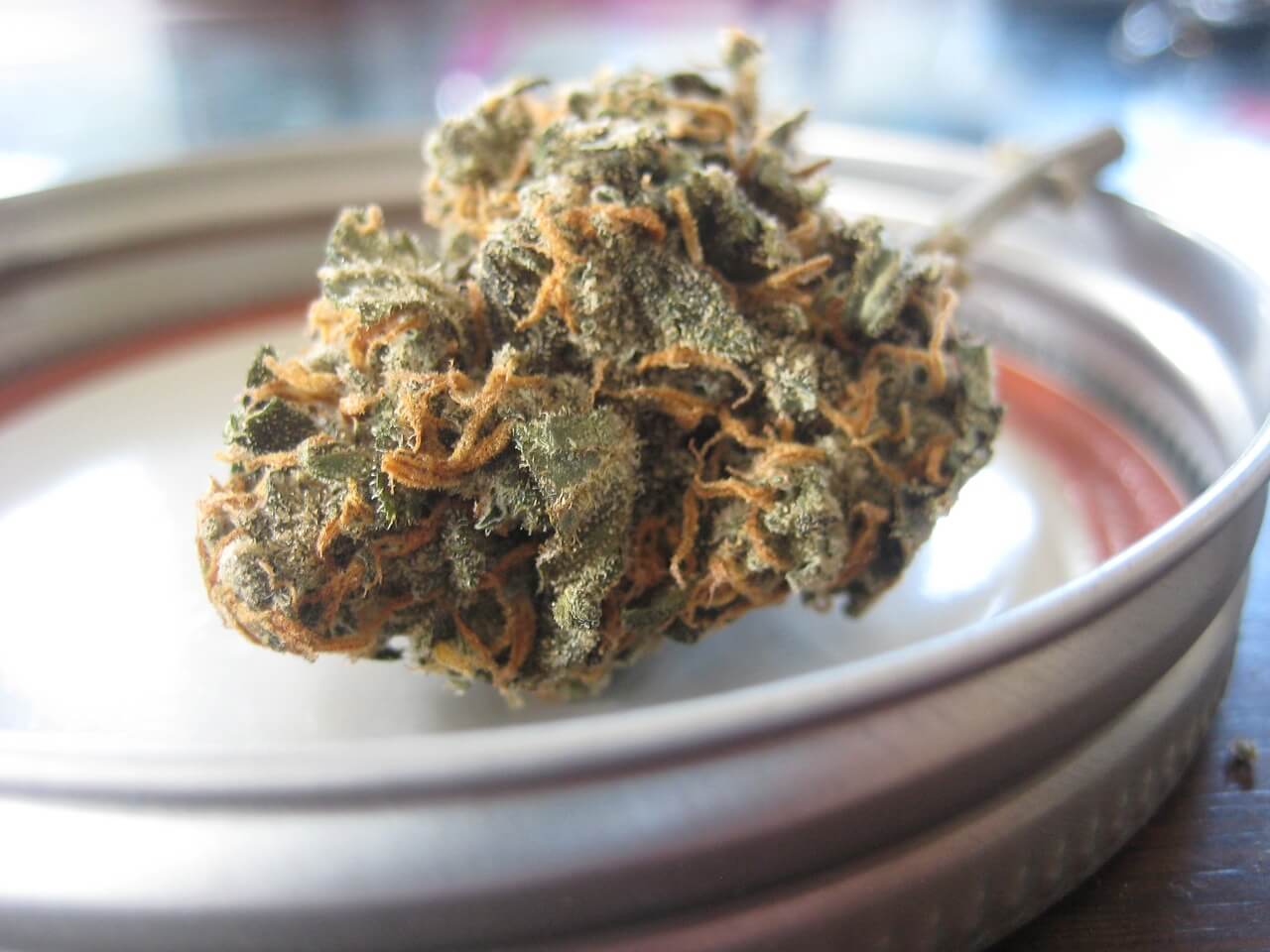 marijuana bud