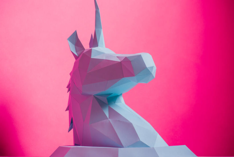 What Is Unicorn In Business