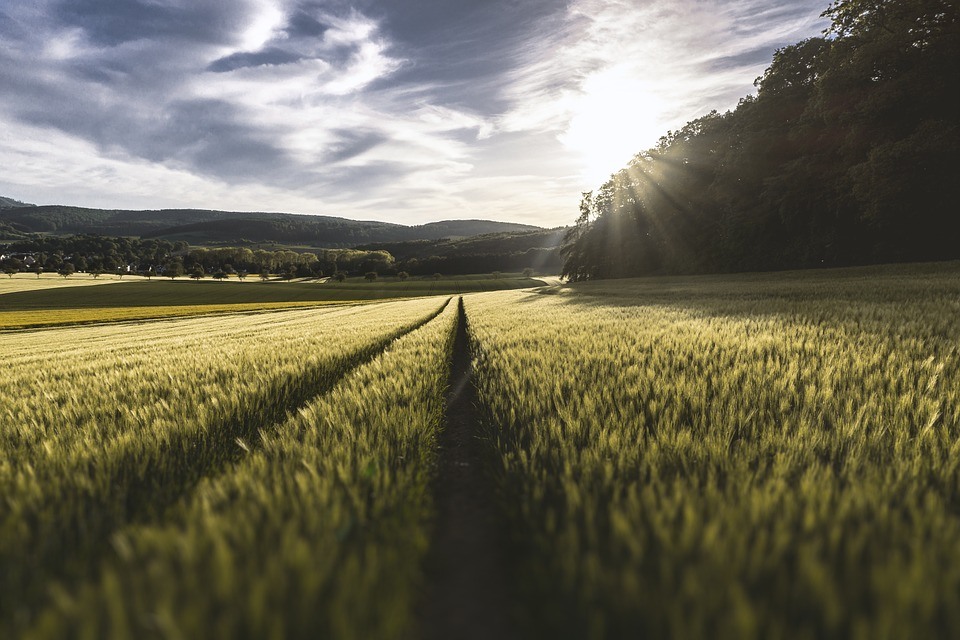 farming