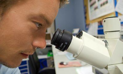 AMC researcher looking through microscope