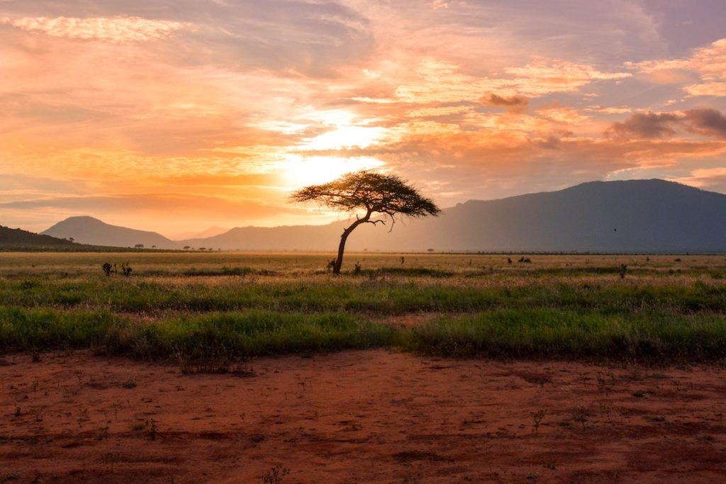 This picture show an African landscape.