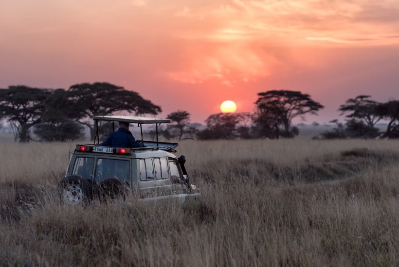 This picture show a person riding a truck during a safari in Africa.