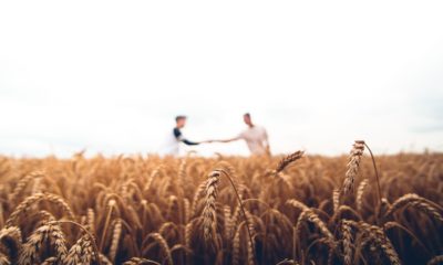 This picture show two people stretching hands representing the wheat market.