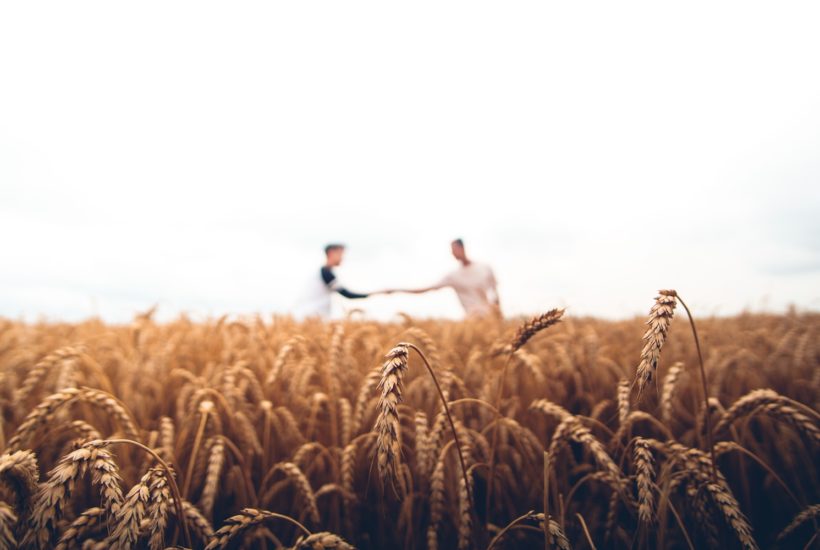 This picture show two people stretching hands representing the wheat market.