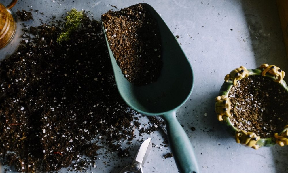 Will Brazil allow companies to cultivate cannabis for medical purposes?