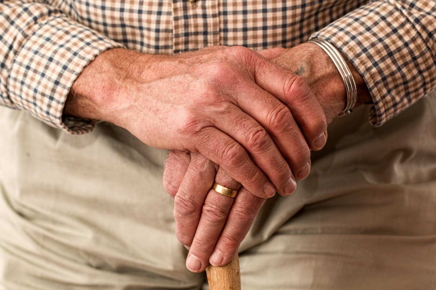 Experts debate cannabis potential in elderly health