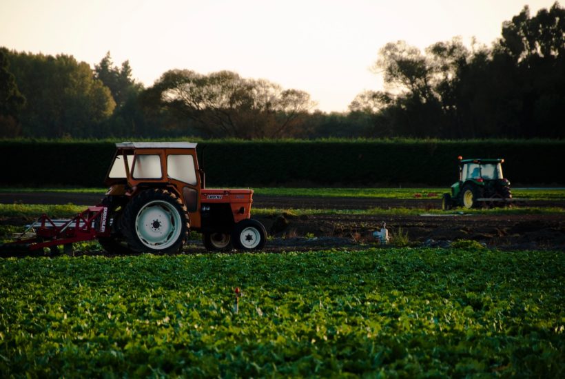 This picture show someone harvesting crops.