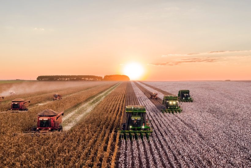 Agricultural markets