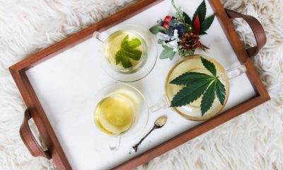This picture show a cannabis tea.