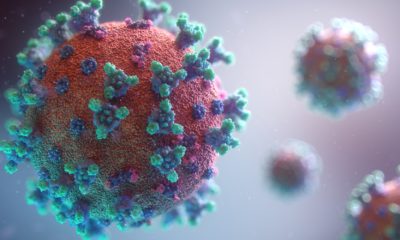 This picture show a coronavirus.