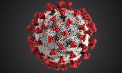 This picture shows a coronavirus.