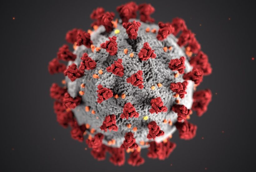 This picture shows a coronavirus.