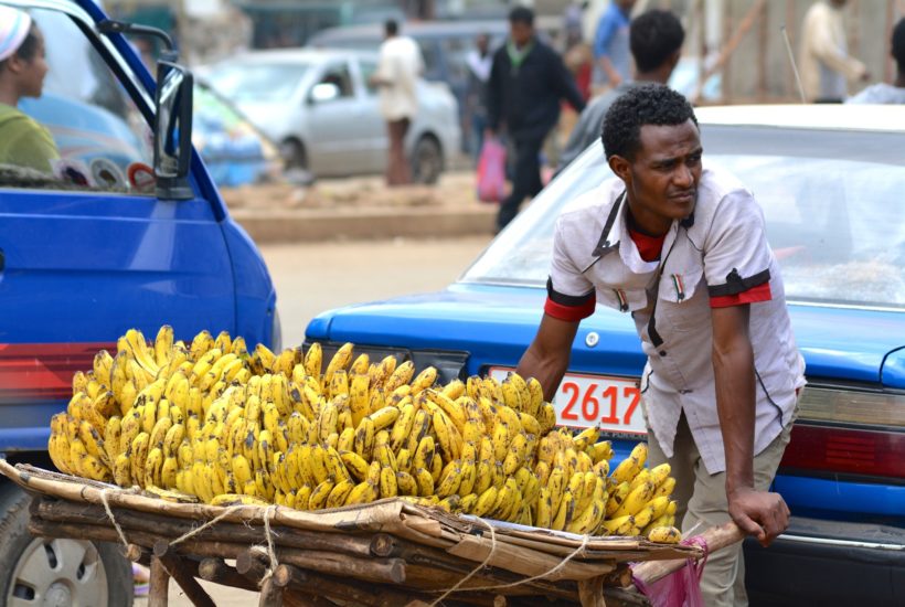 This picture show a person carrying some food.