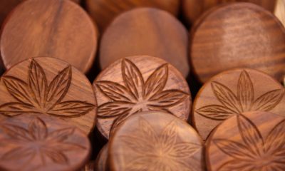 This picture show a couple of cannabis wooden coins.