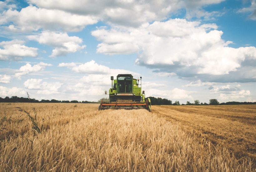 This picture show a tractor in the middle of a farm.