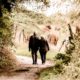 This picture show and old couple walking.