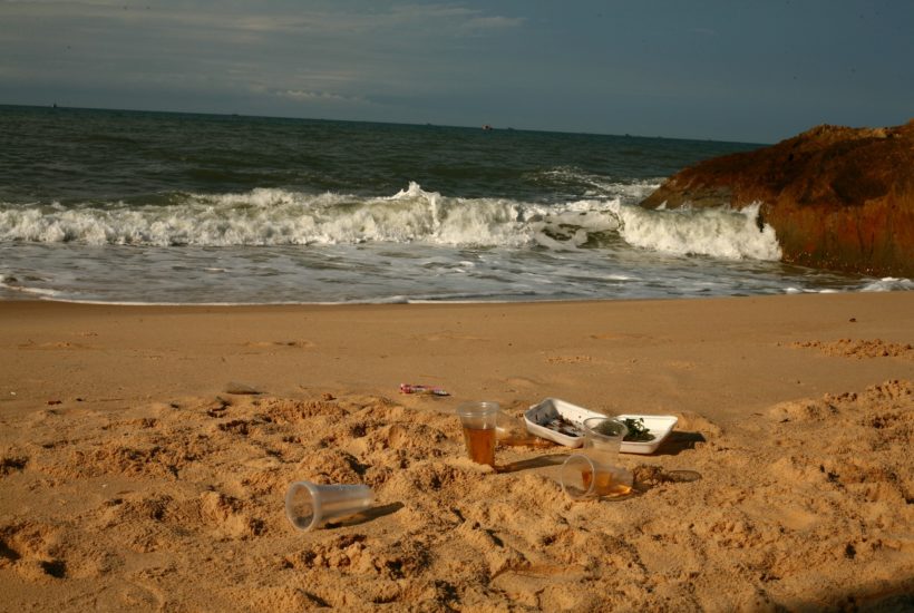 This picture show some plastic waste on a beach.