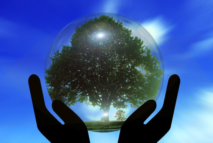 This picture show a tree inside a glass ball.