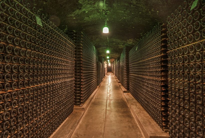 This picture show a wine cellar.