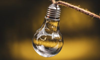 This picture show a lightbulb.