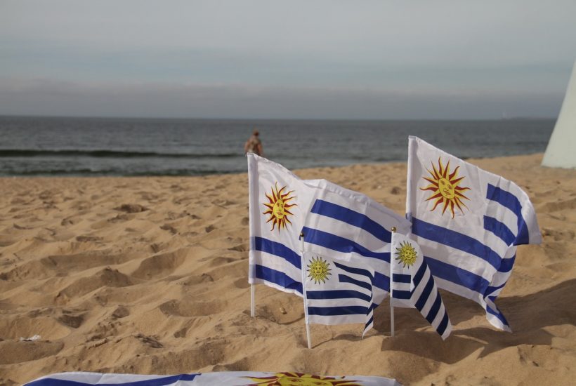 This picture show Uruguay's flag.