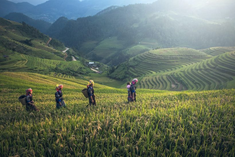 This picture show a group of people on a farm.