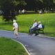 This picture show some elders on a park.