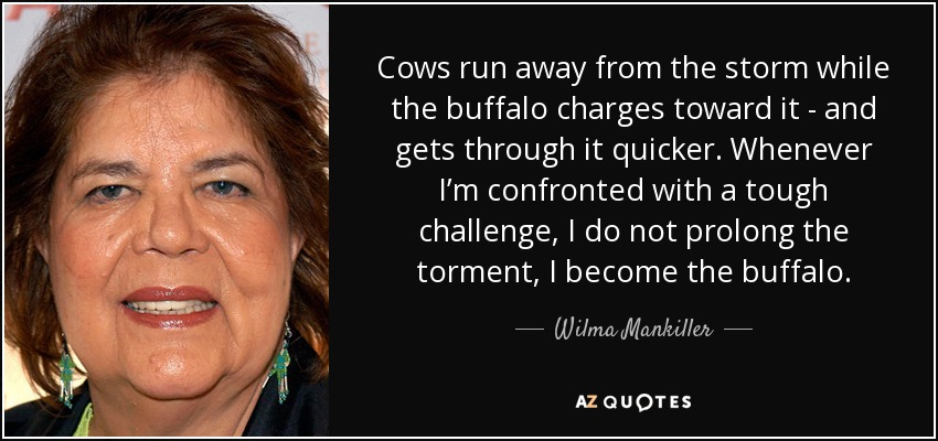 "Cows run away from the storm while the buffalo charges toward it - and gets through it quicker." -- Wilma Mankiller