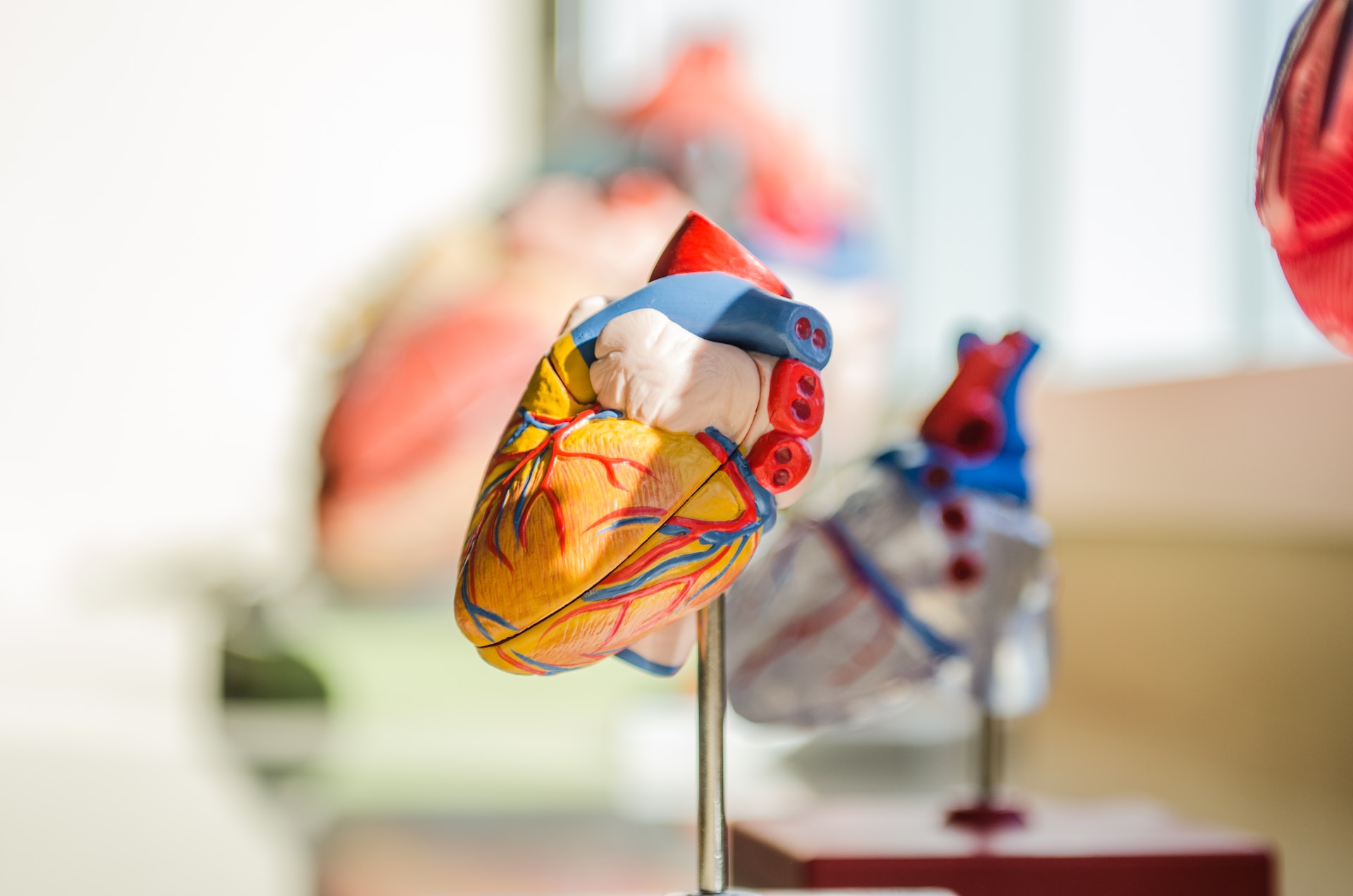 Cardiol Therapeutics Pursues Breakthrough Cardiac Treatment