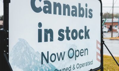 cannabis stores