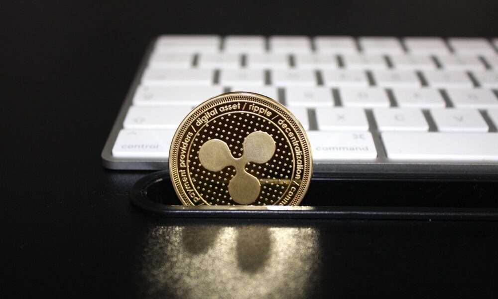 Ripple (XRP): No IPO in the USA – CEO criticizes SEC