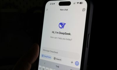 DeepSeek