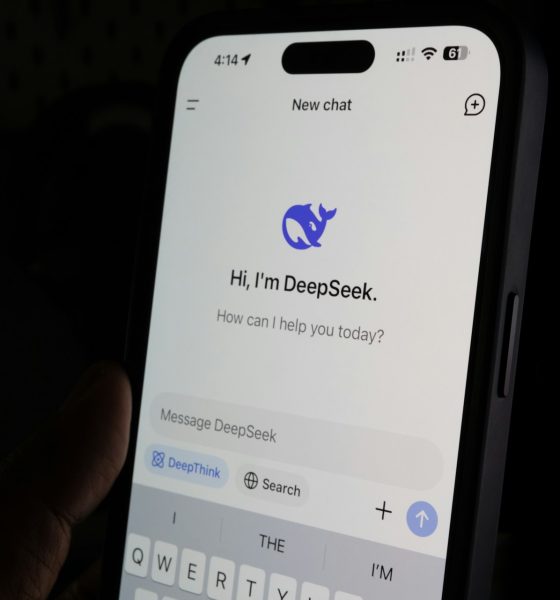 DeepSeek