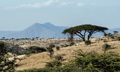 Africa